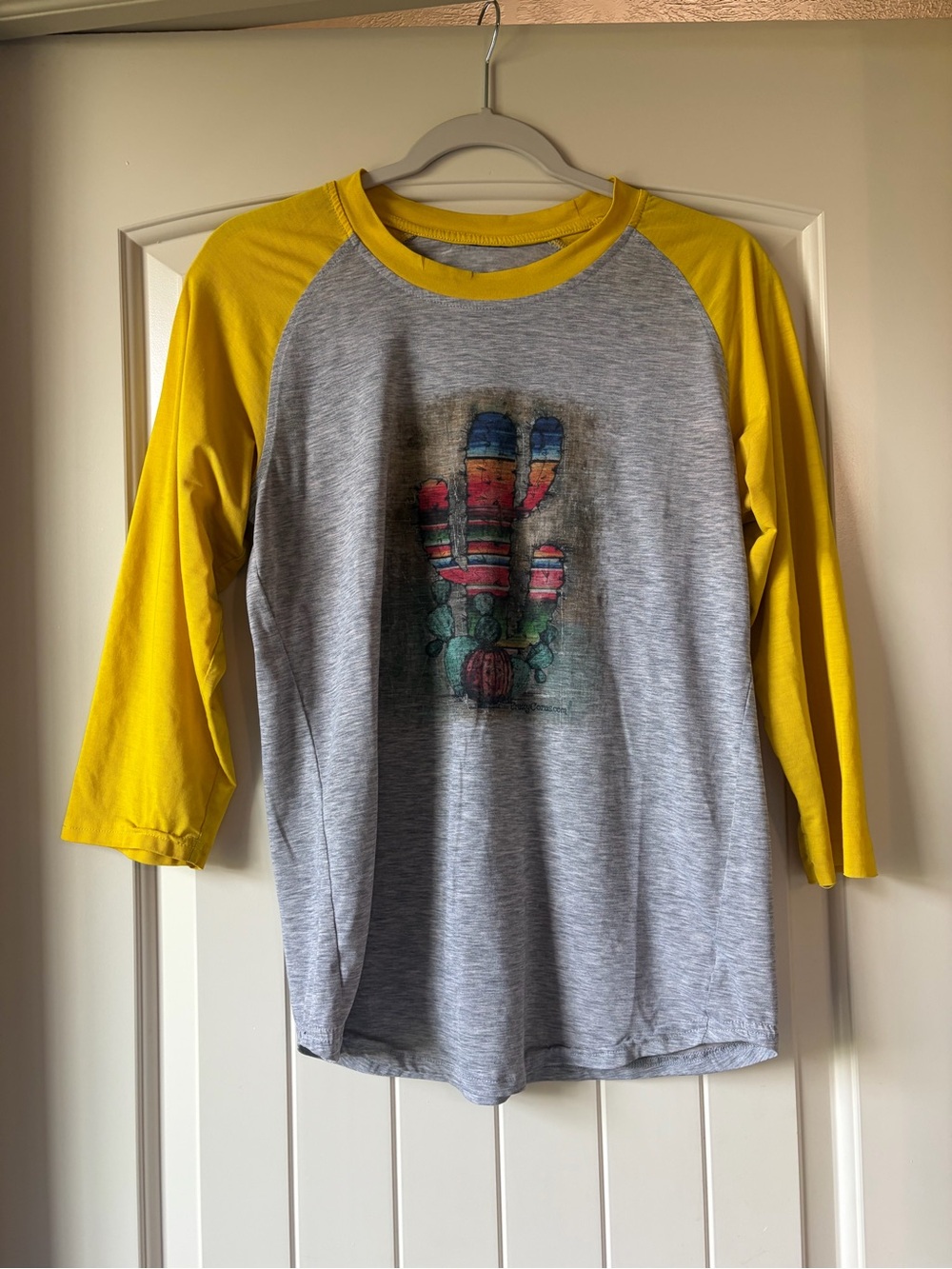 Southwest Cactus Graphic Baseball Tee